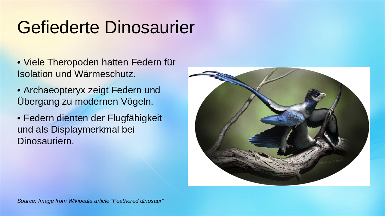 Slide 11