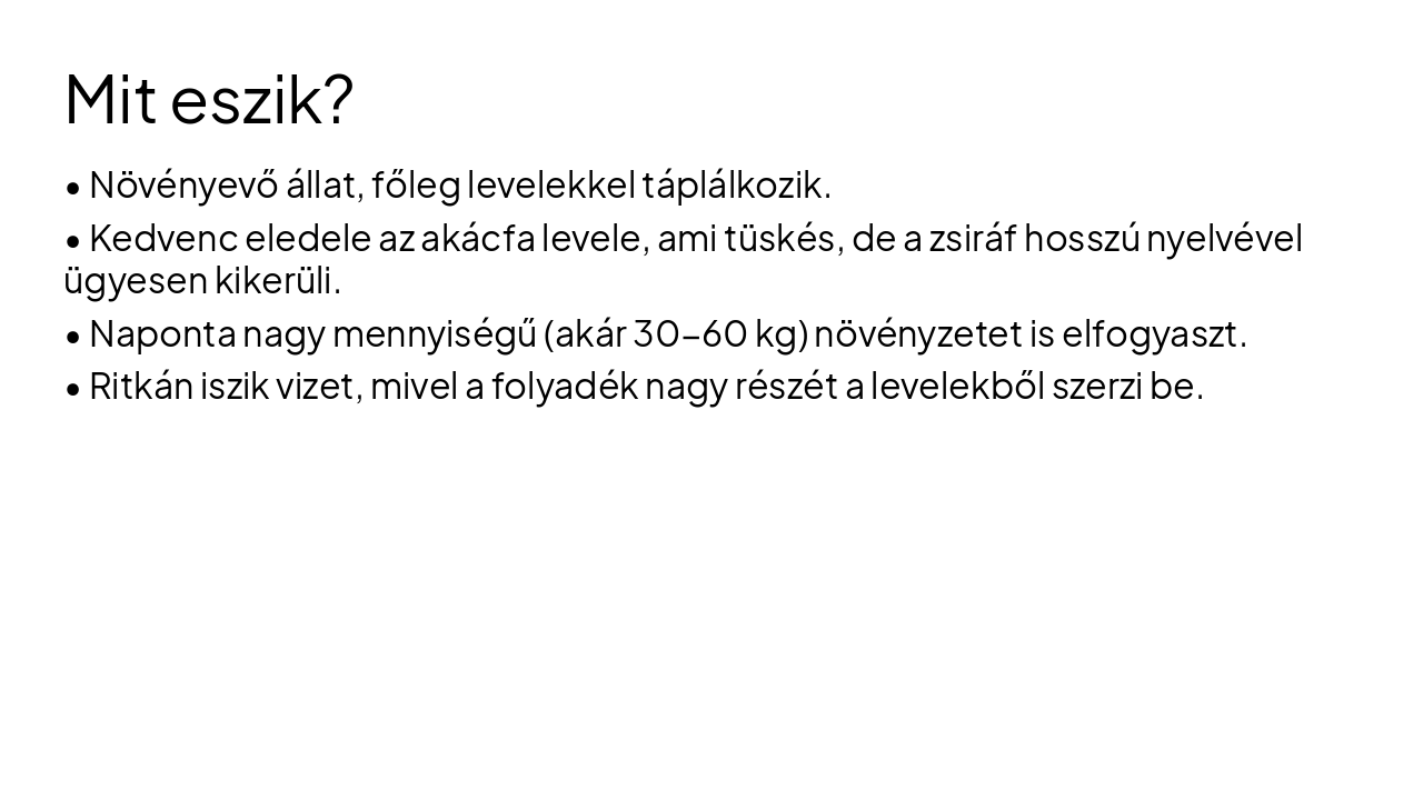 Slide 5 - Mit eszik?
