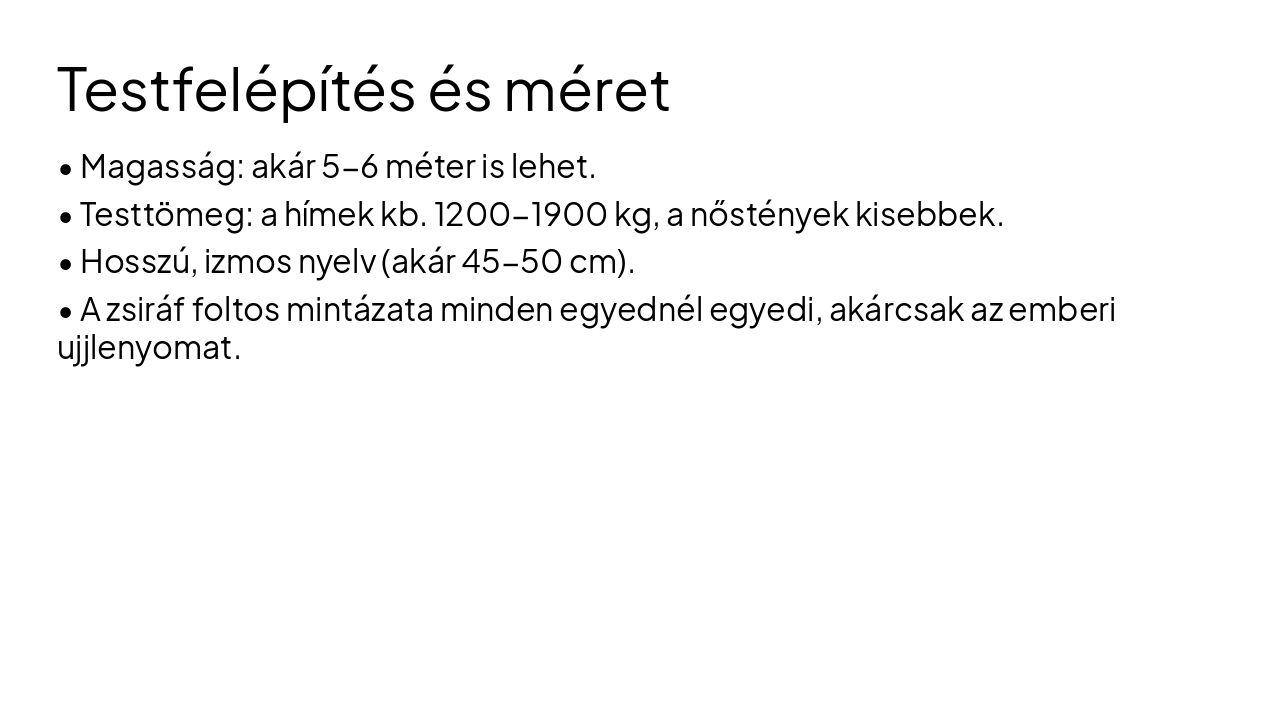 Slide 4 - Testfelépítés és méret