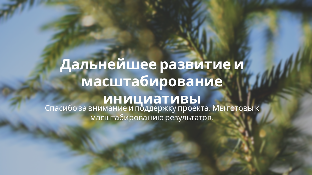 Slide 8 - Заключение