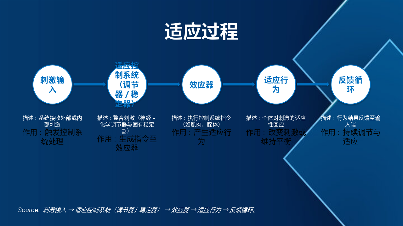 Slide 4 - 适应过程