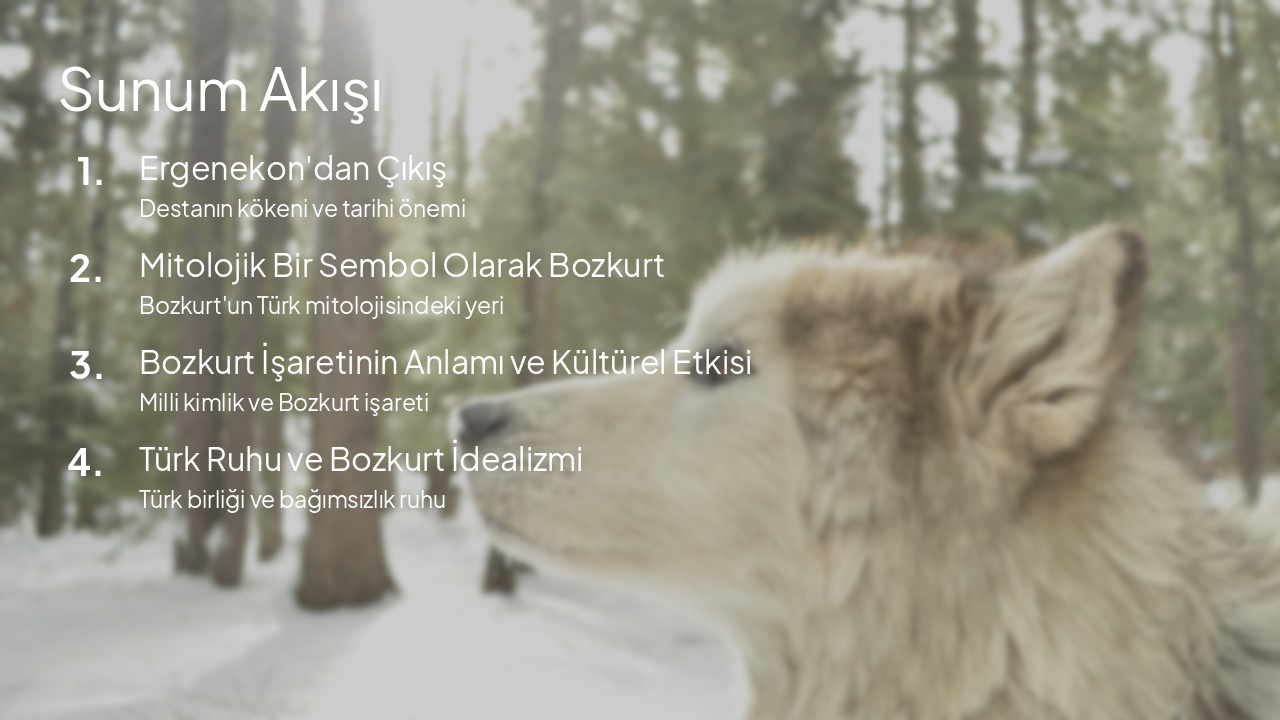 Slide 2 - Sunum Akışı