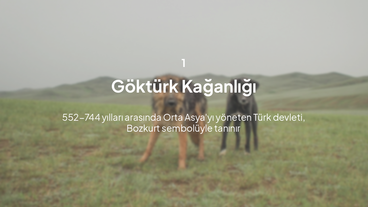 Slide 3 - Göktürk Kağanlığı Tarihi