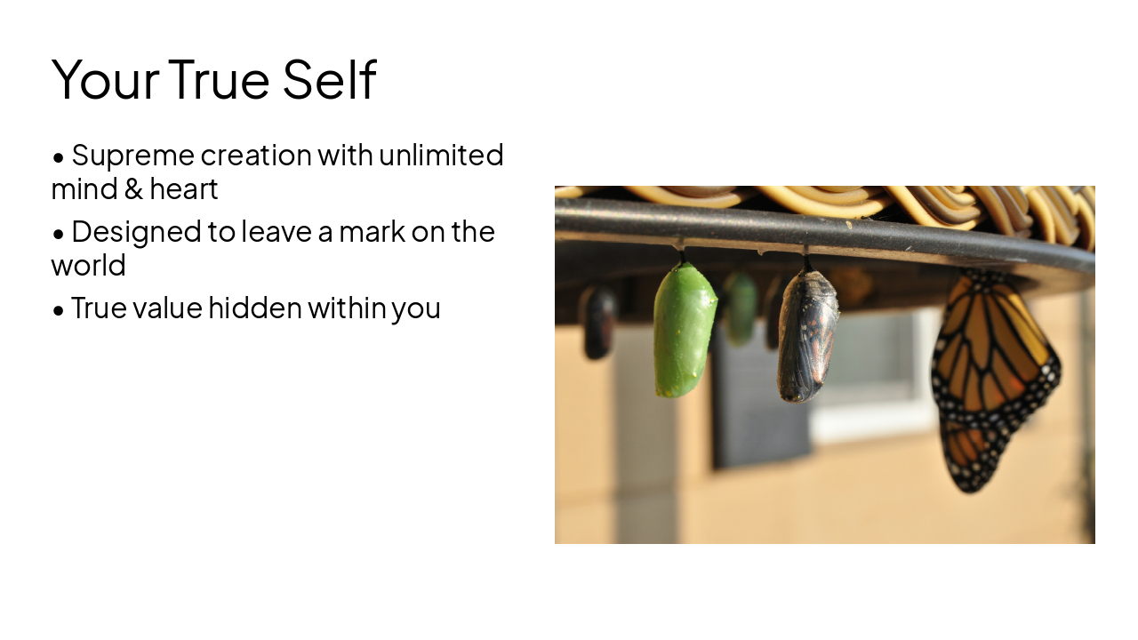 Slide 6 - Your True Self