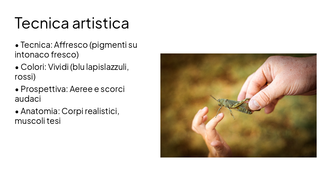 Slide 8 - Tecnica artistica