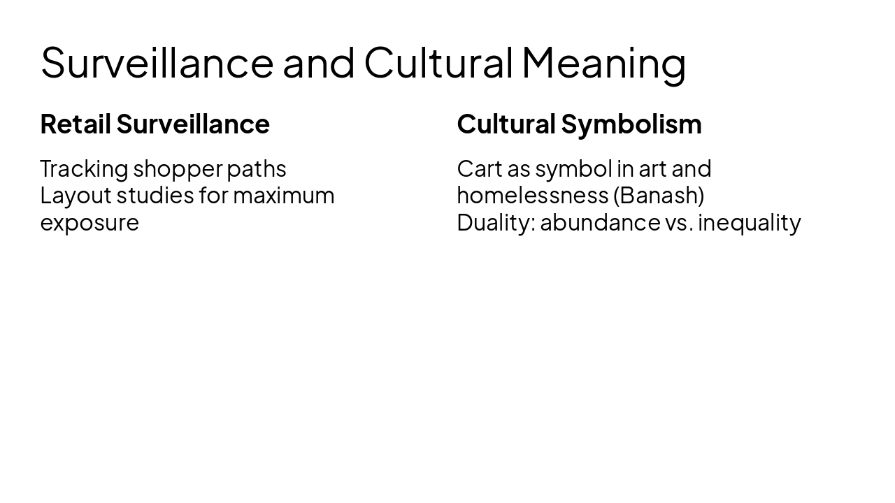 Slide 9 - Surveillance and Cultural Meaning