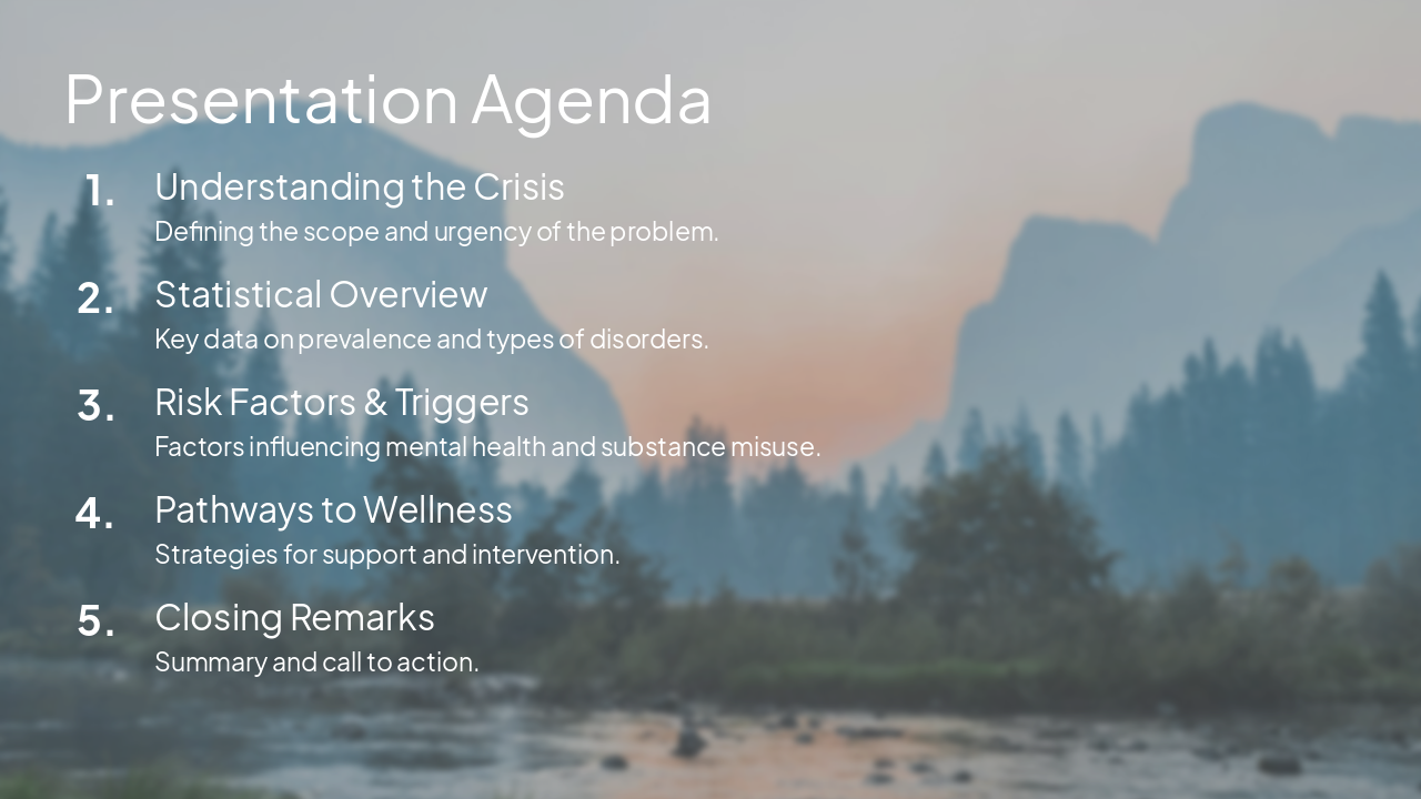 Slide 2 - Presentation Agenda