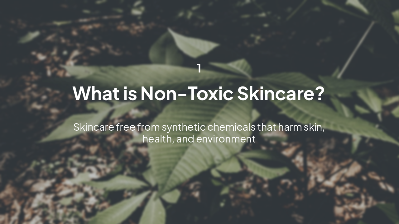 Slide 3 - What is Non-Toxic Skincare?