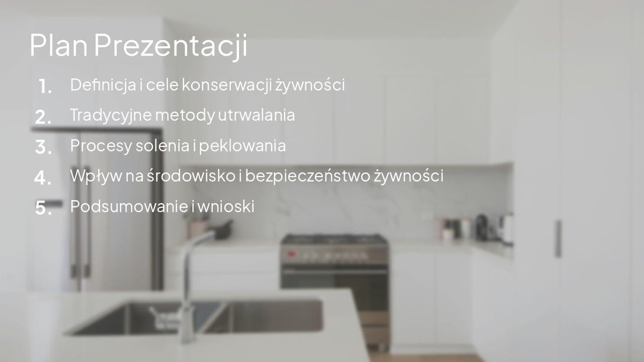 Slide 2 - Plan Prezentacji