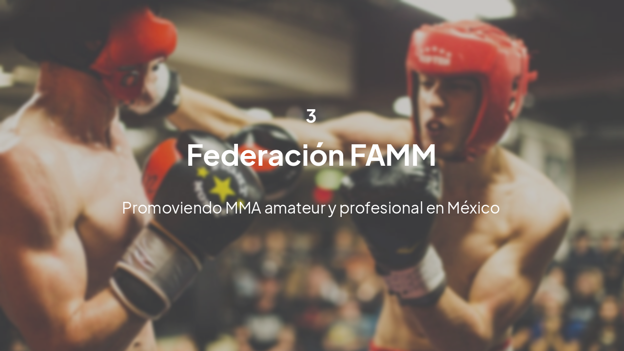 Slide 5 - Federación de MMA en México