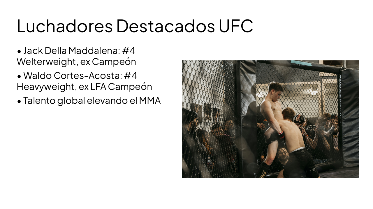 Slide 7 - Luchadores Destacados UFC