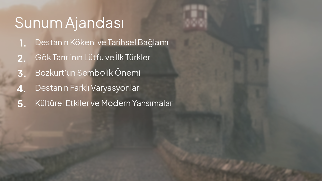 Slide 2 - Sunum Ajandası