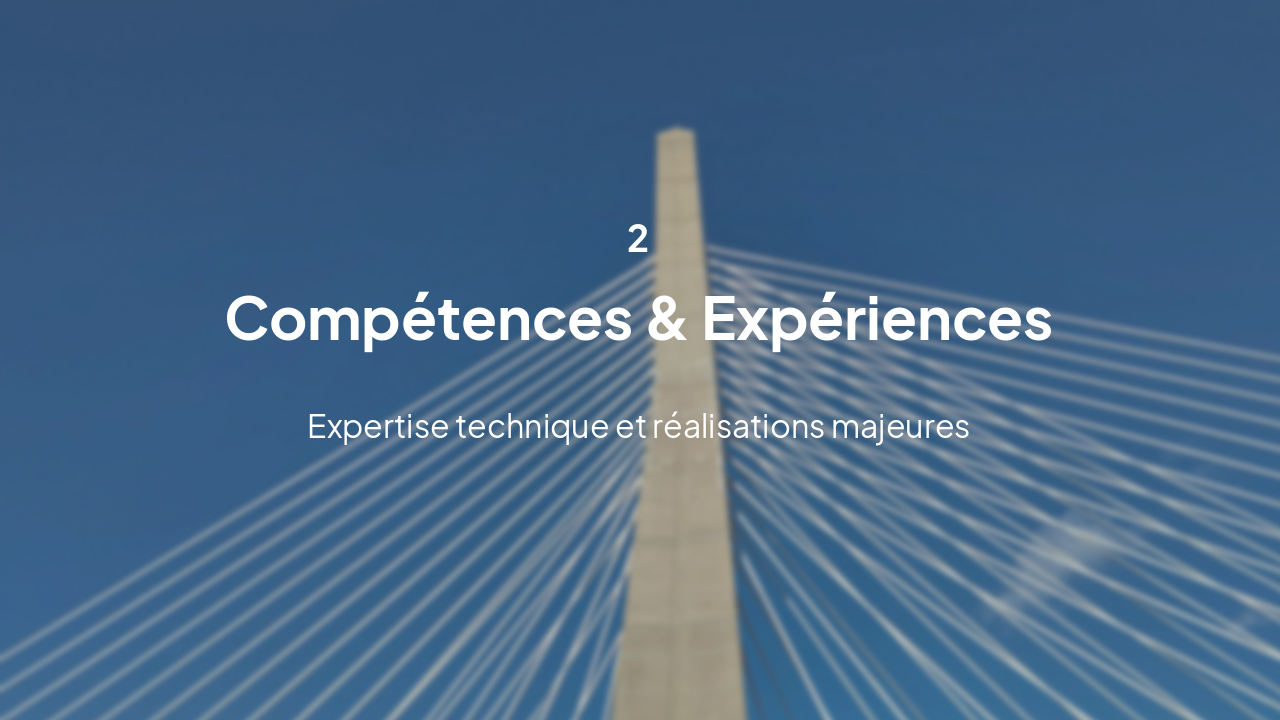 Slide 5 - Section 2: Compétences & Expériences