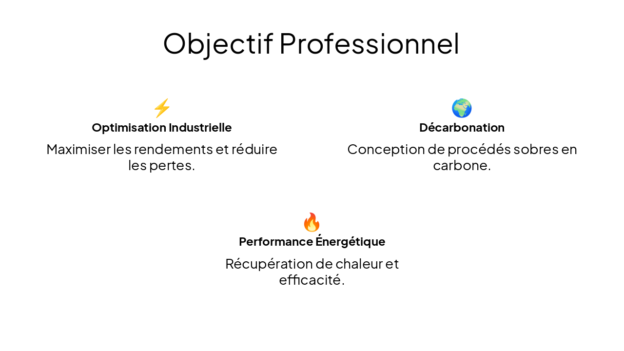 Slide 4 - Objectif Professionnel
