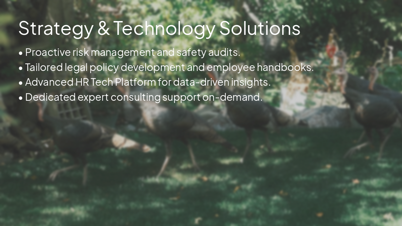 Slide 6 - Strategy & Technology Solutions