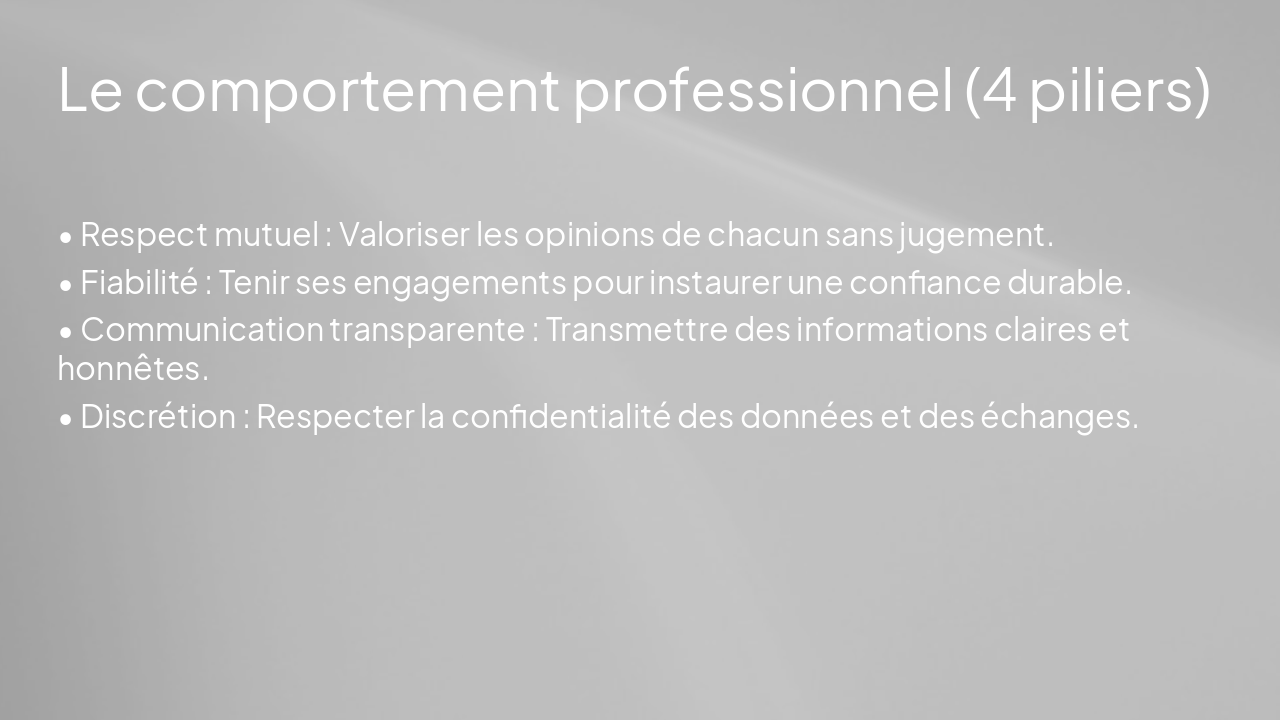 Slide 4 - Le comportement professionnel (4 piliers)