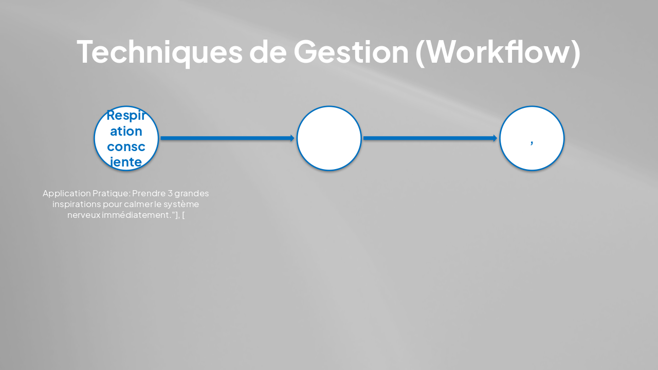 Slide 24 - Techniques de Gestion (Workflow)