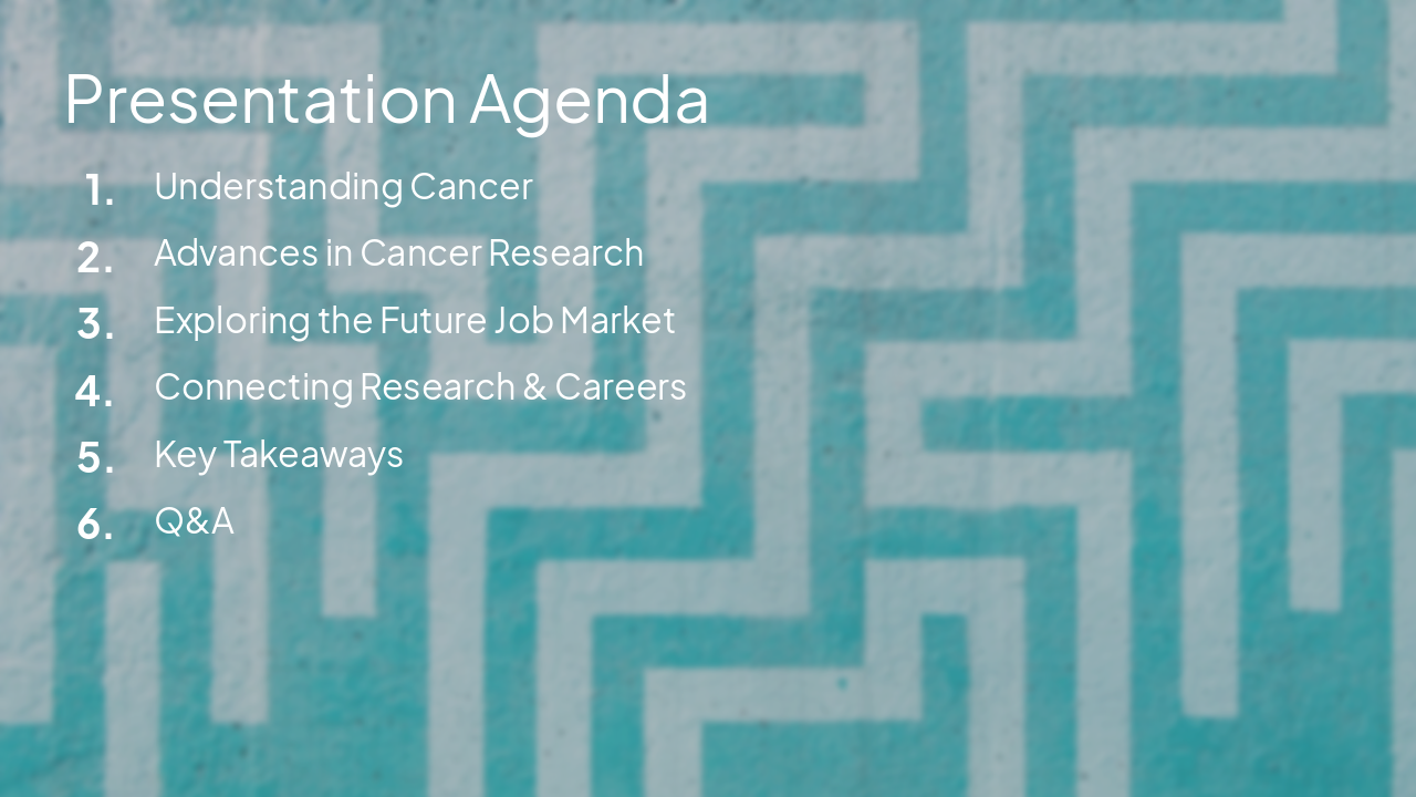 Slide 2 - Presentation Agenda