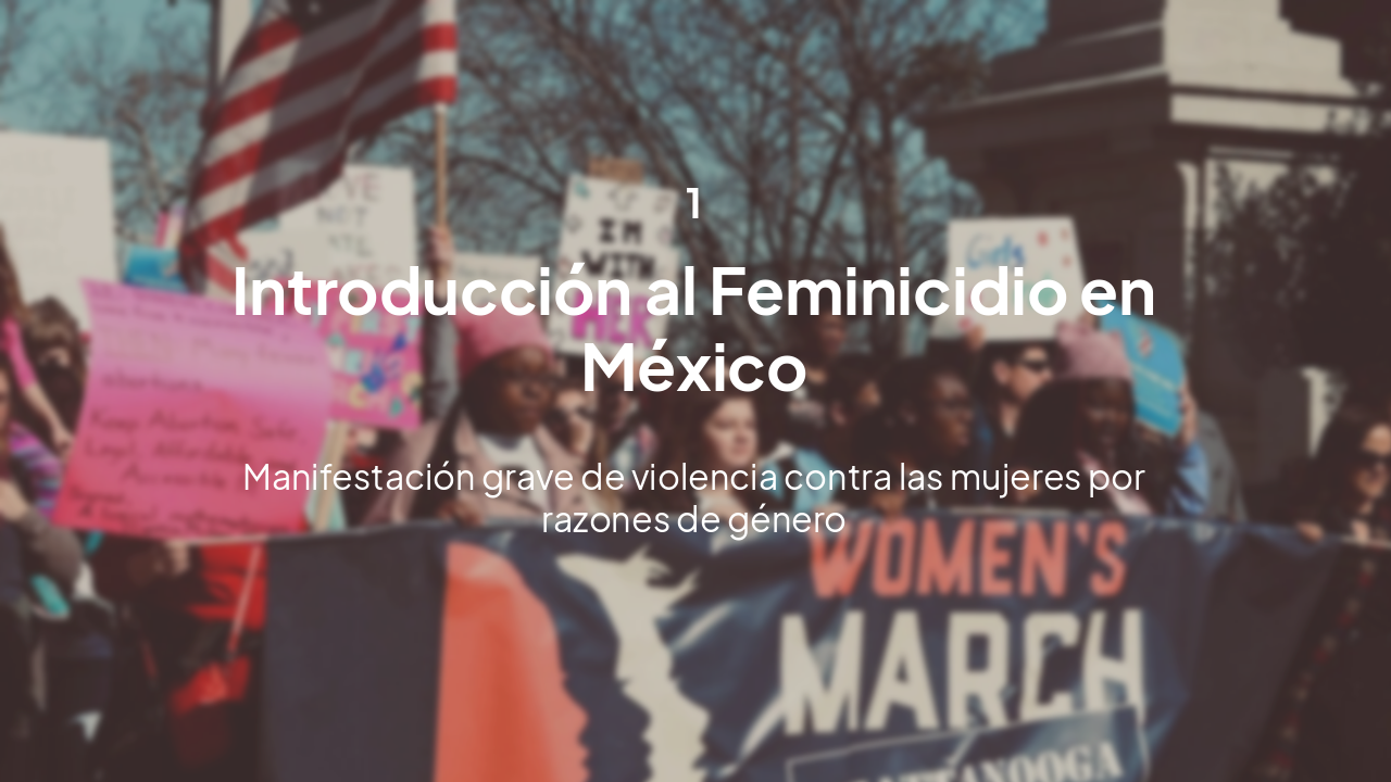 Slide 5 - Introducción