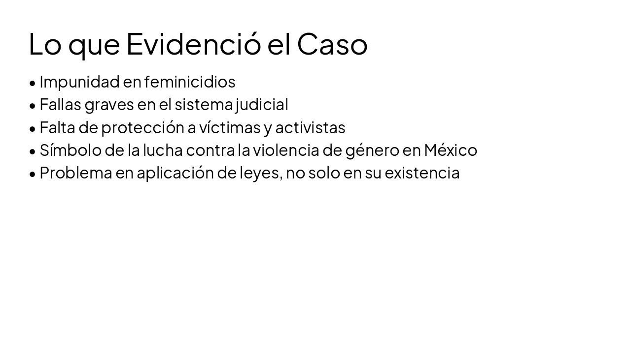 Slide 21 - Lo que Evidenció el Caso