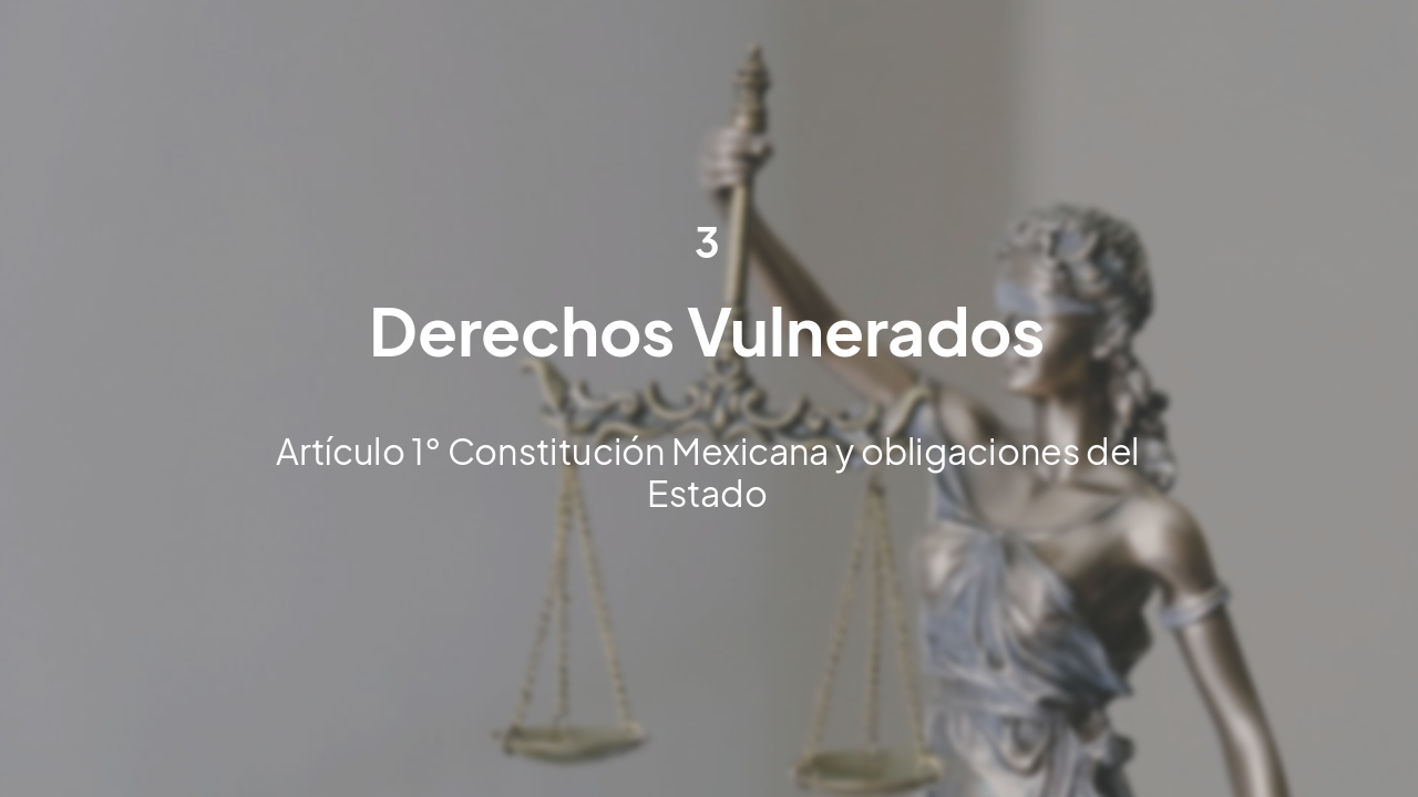 Slide 16 - Derechos Humanos