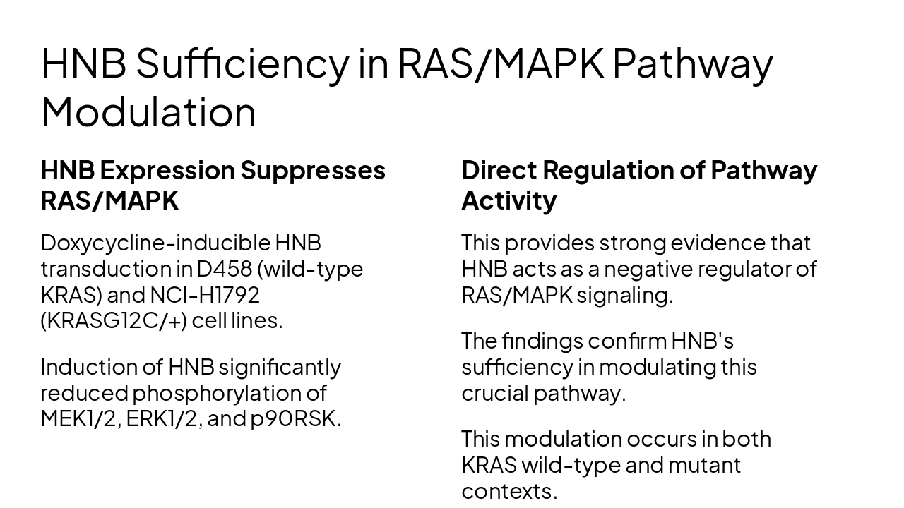 Slide 15 - HNB Sufficiency in RAS/MAPK Pathway Modulation