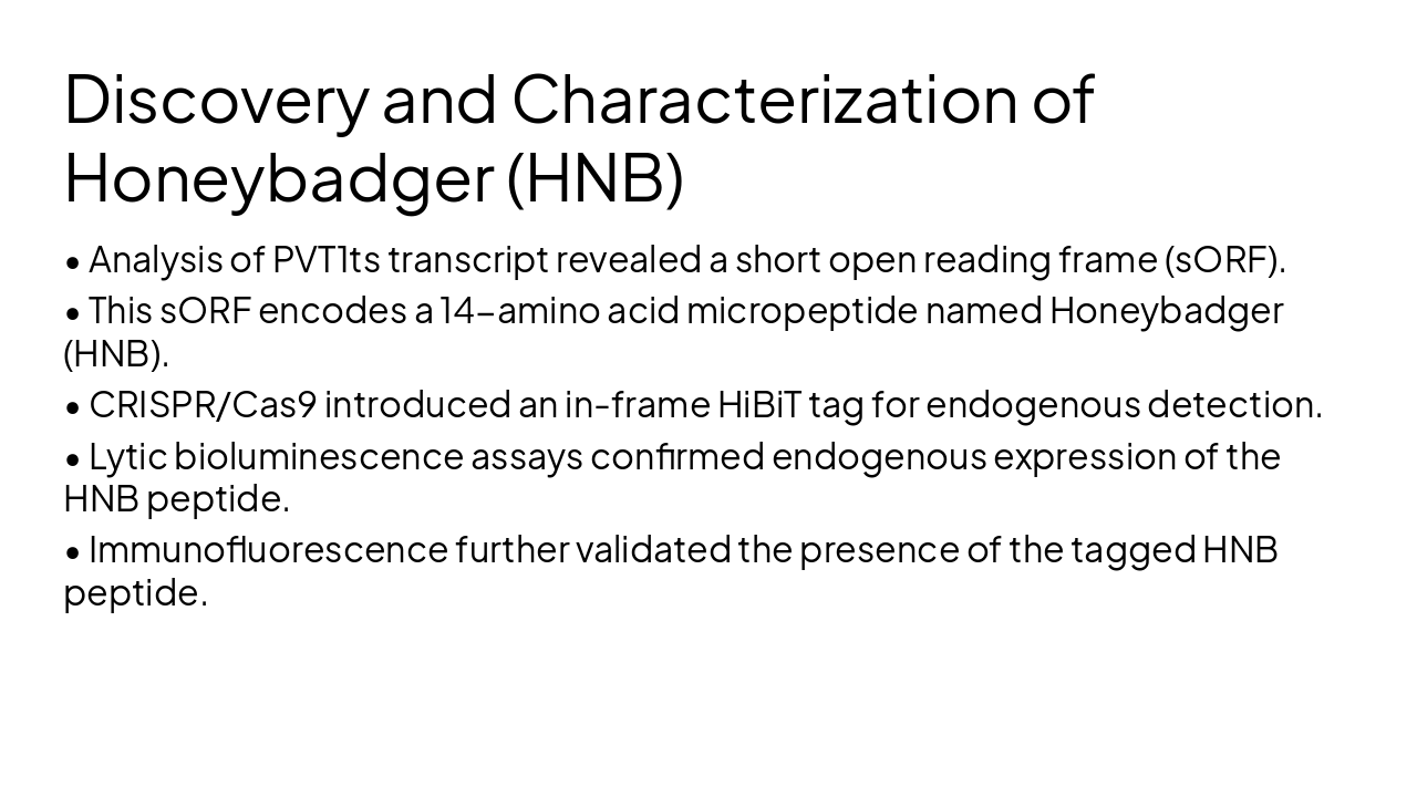 Slide 9 - Discovery and Characterization of Honeybadger (HNB)