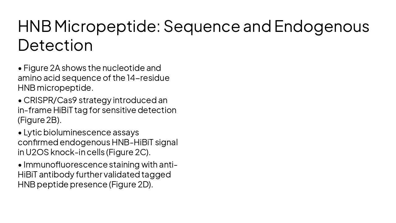 Slide 10 - HNB Micropeptide: Sequence and Endogenous Detection