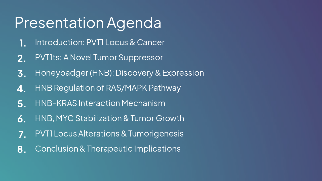 Slide 2 - Presentation Agenda
