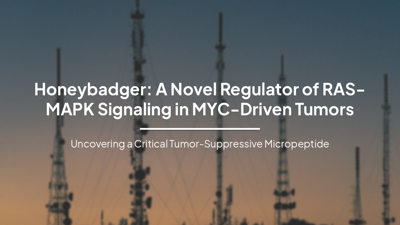 Honeybadger: A Novel Regulator of RAS-MAPK Signaling in MYC-Driven Tumors