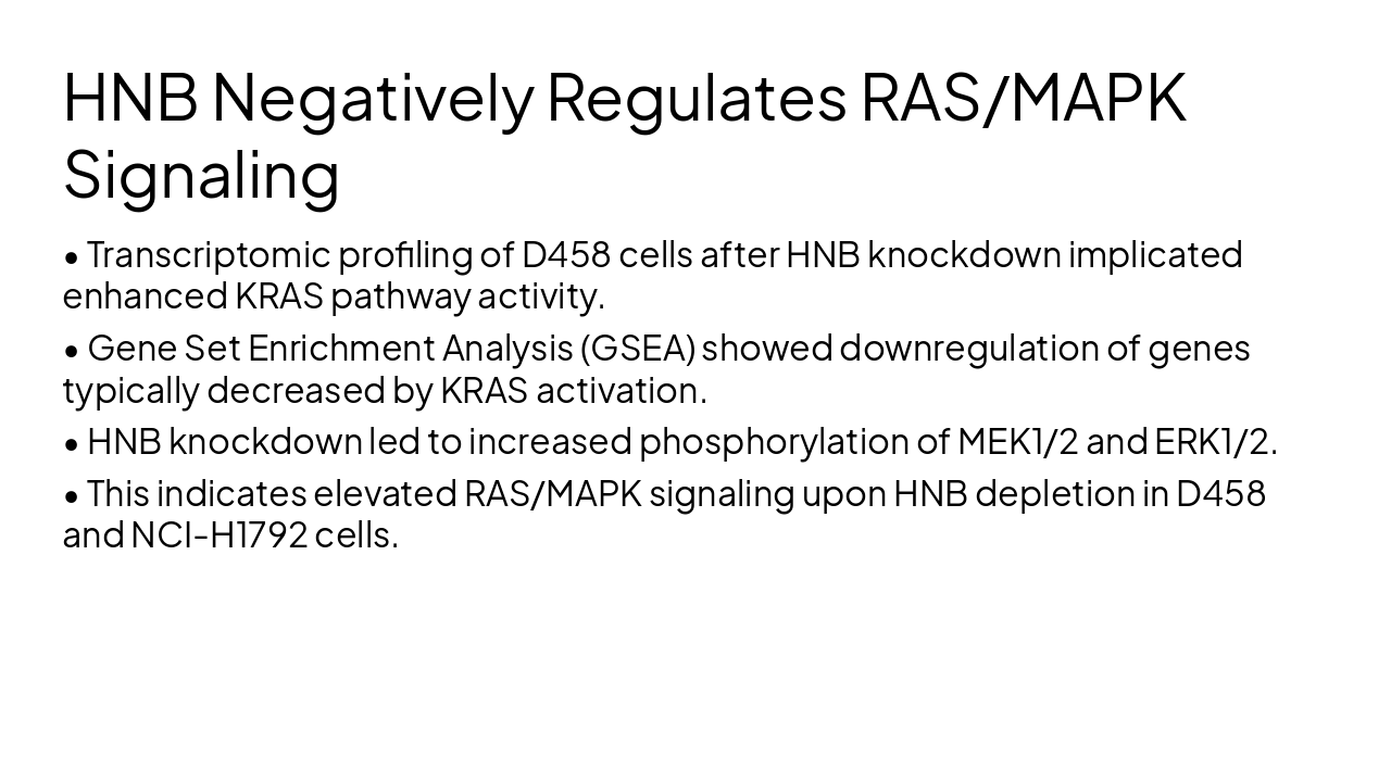 Slide 13 - HNB Negatively Regulates RAS/MAPK Signaling