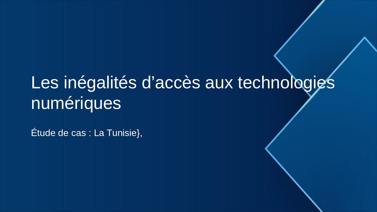 Digital Divide in Tunisia: Progress & Gaps