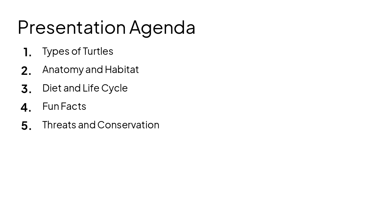 Slide 2 - Presentation Agenda