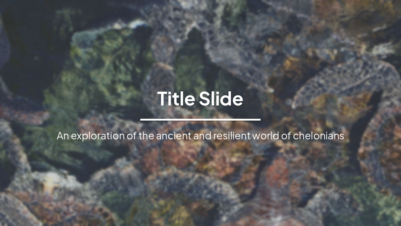 Slide 1 - Title Slide