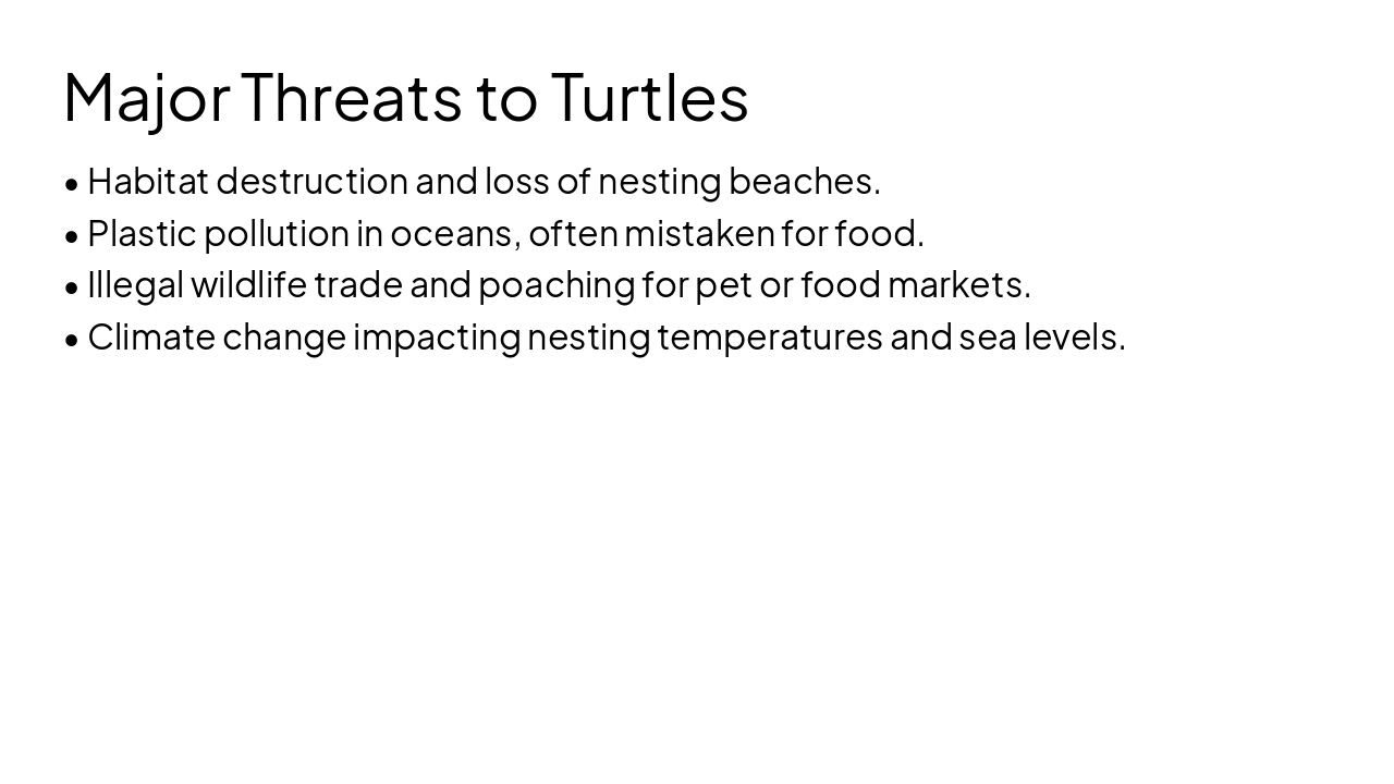 Slide 10 - Major Threats to Turtles