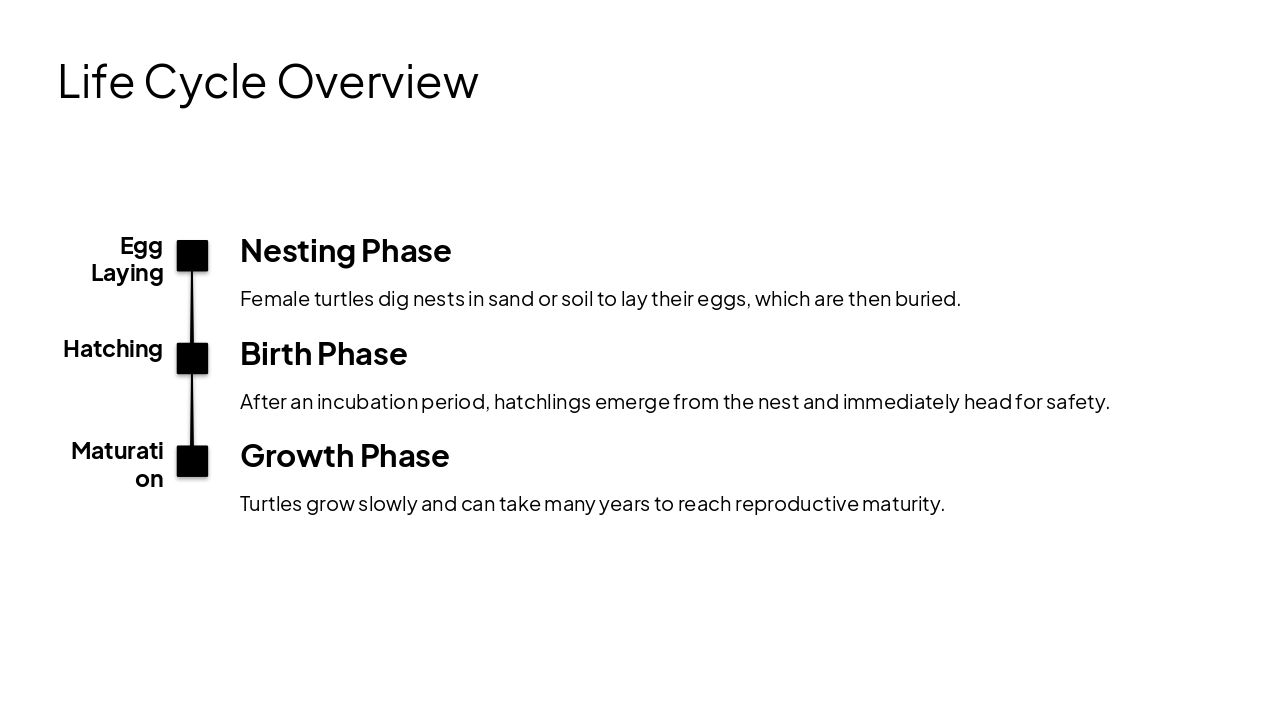 Slide 7 - Life Cycle Overview