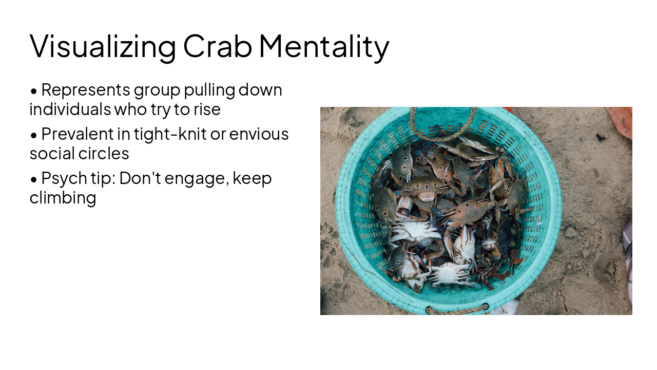 Slide 5 - Visualizing Crab Mentality