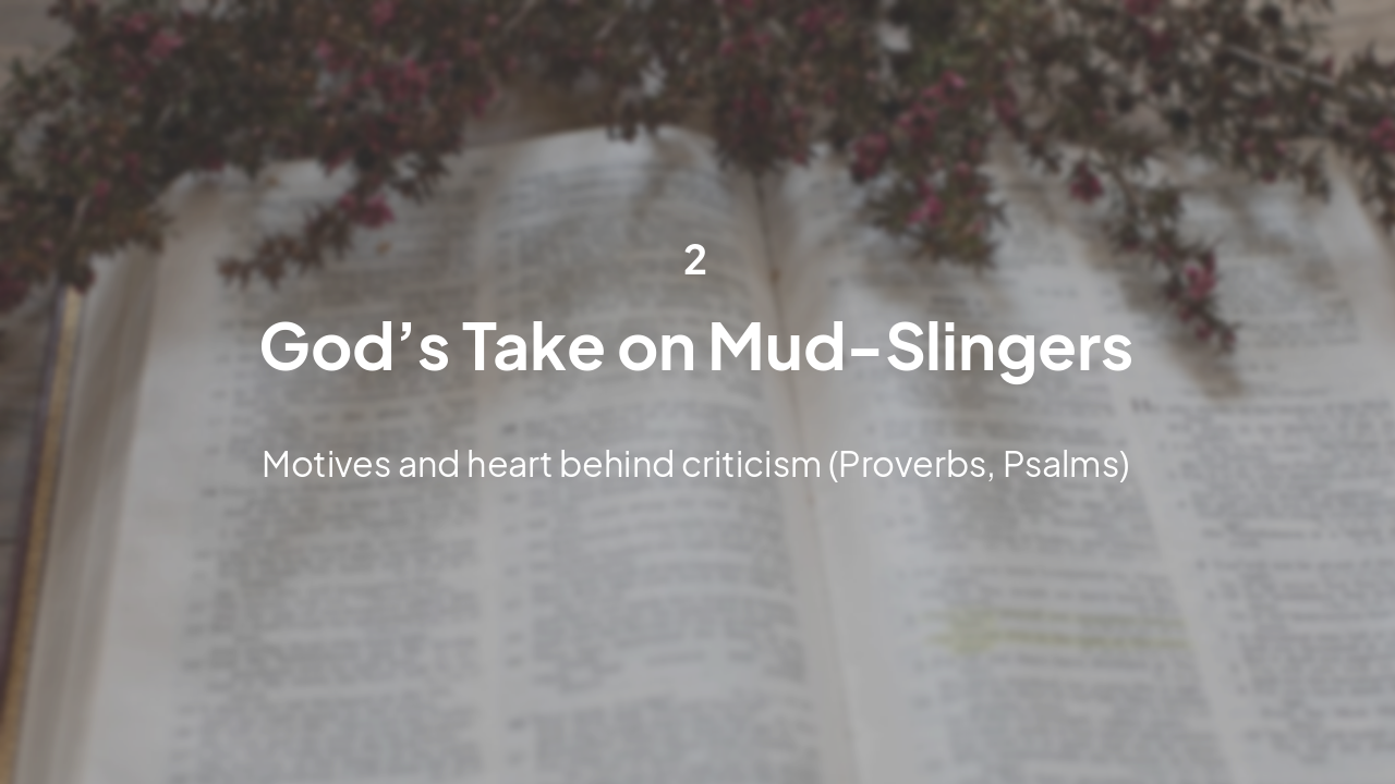 Slide 7 - Biblical View on Attacks