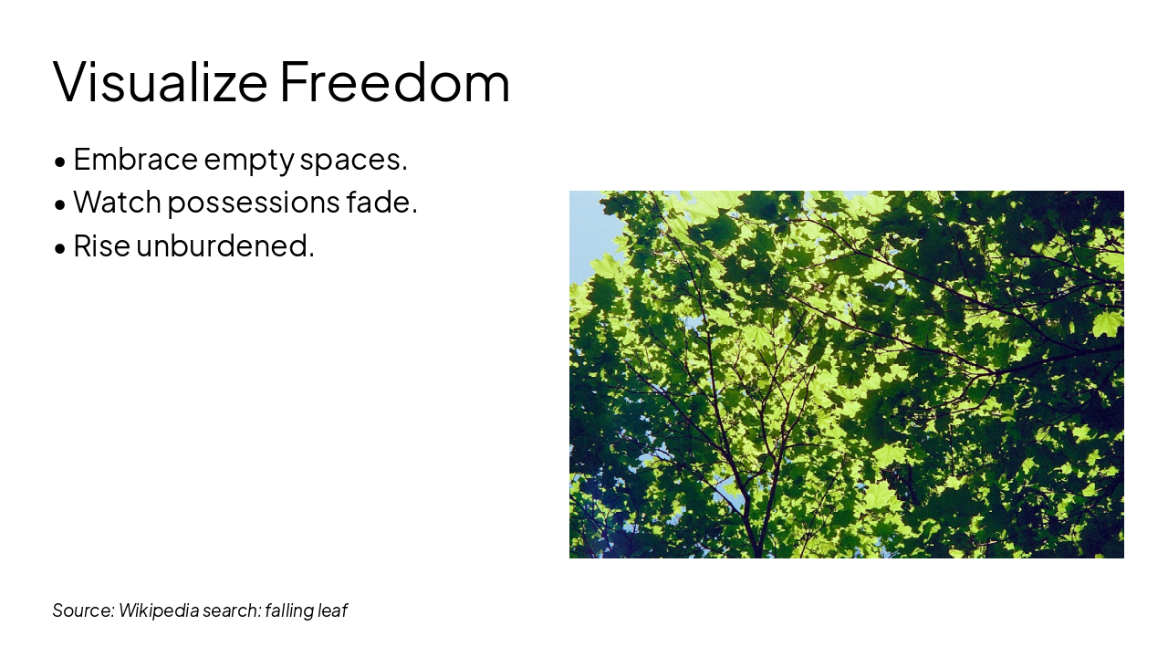 Slide 4 - Visualize Freedom