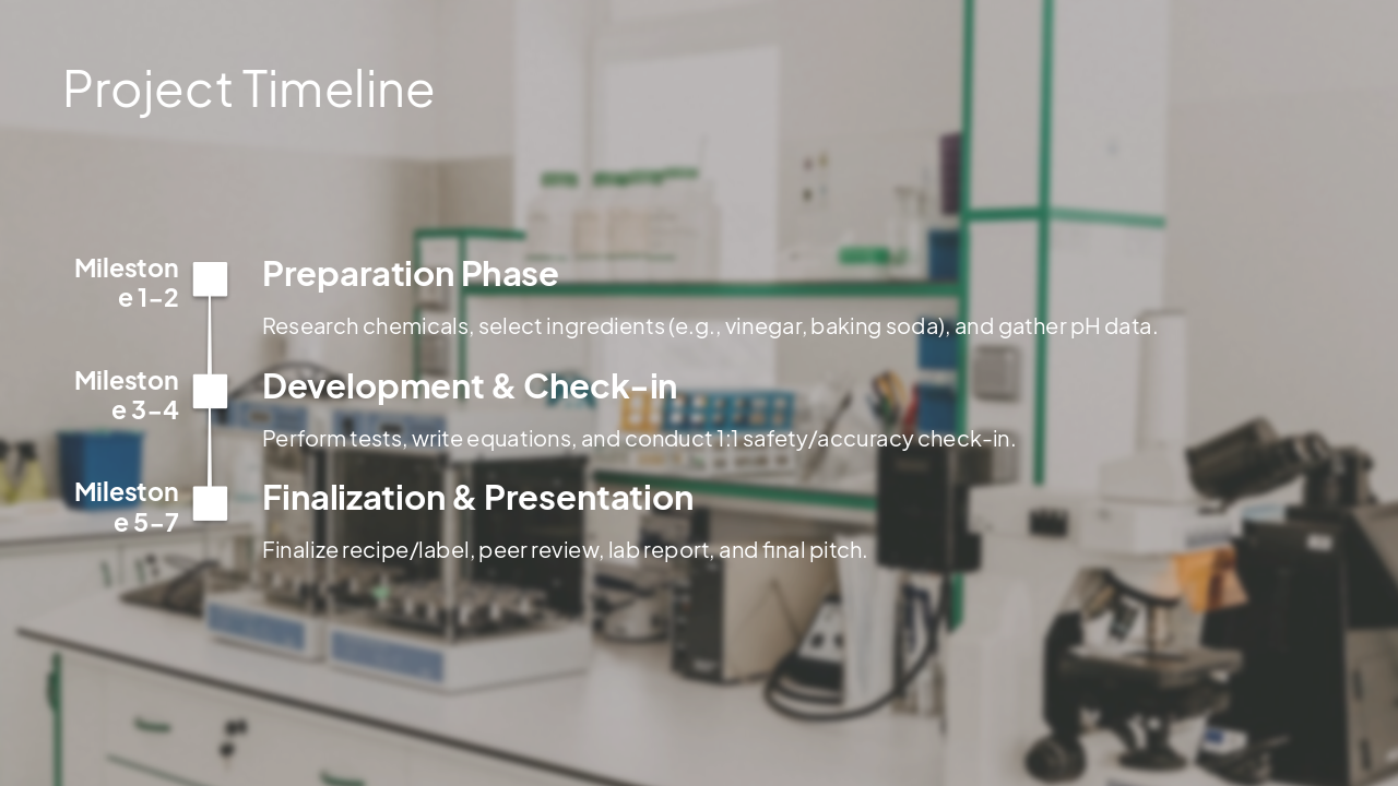 Slide 4 - Project Timeline