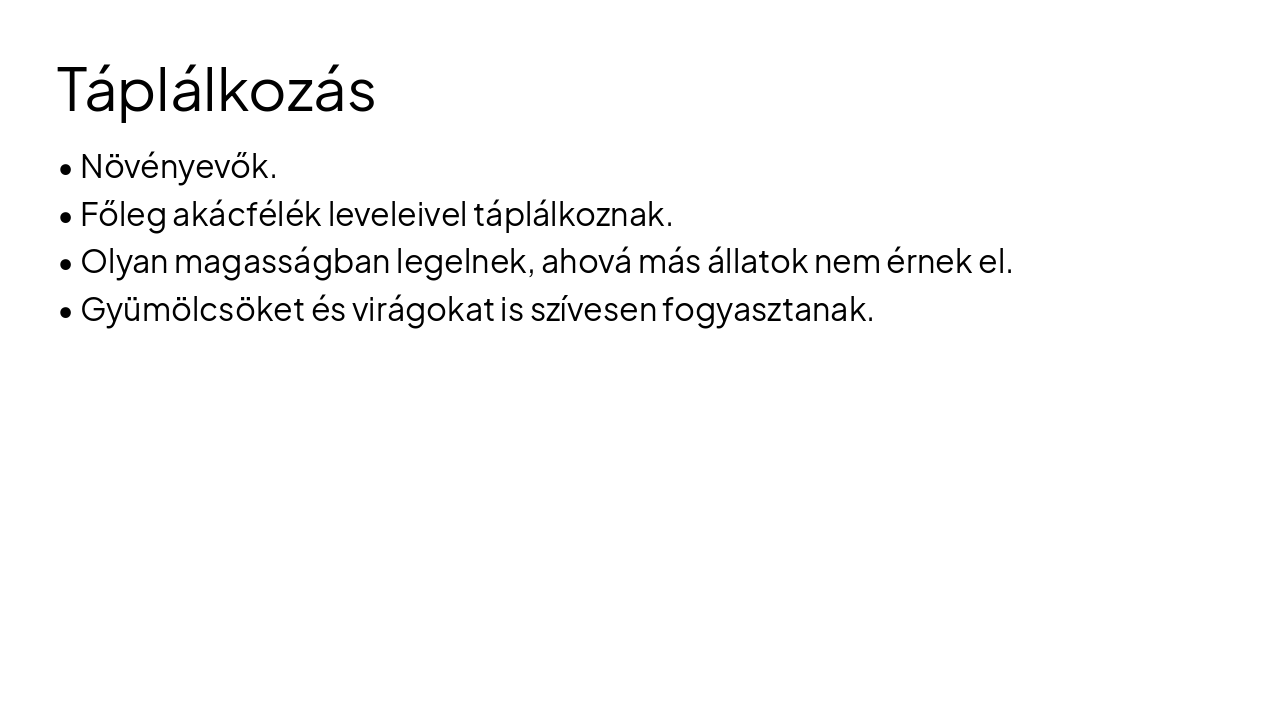 Slide 5 - Táplálkozás