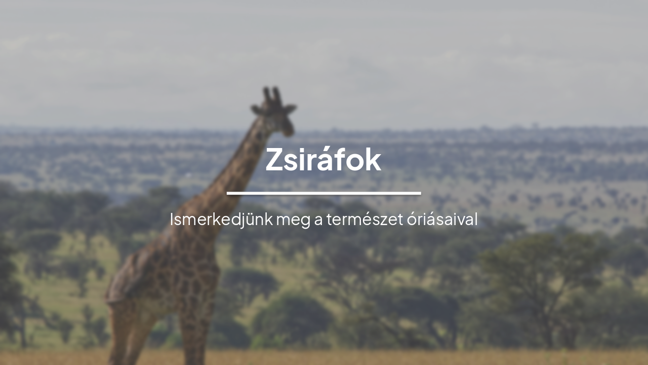 Slide 1 - Zsiráfok