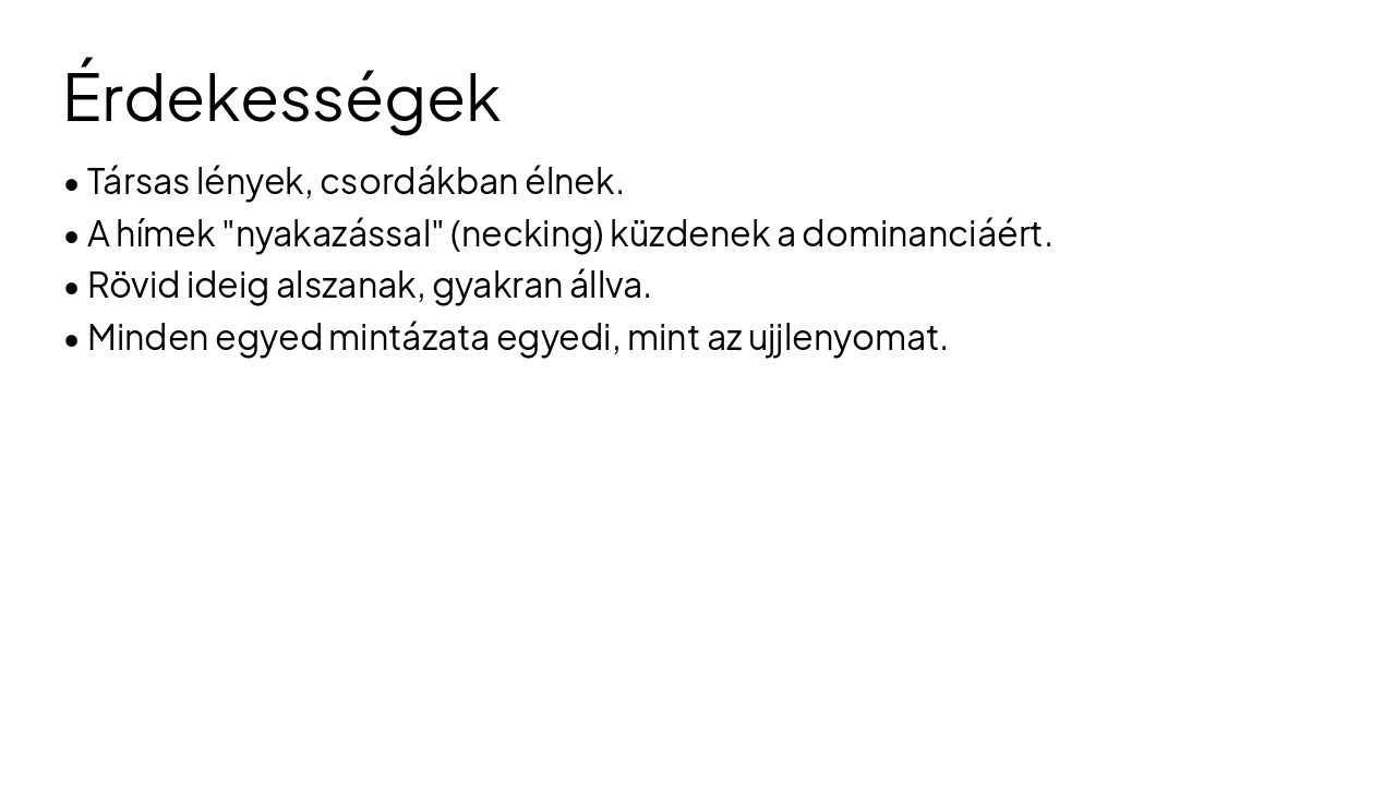 Slide 6 - Érdekességek