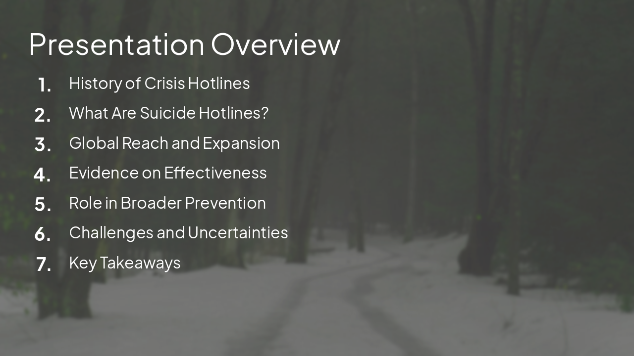 Slide 2 - Presentation Overview