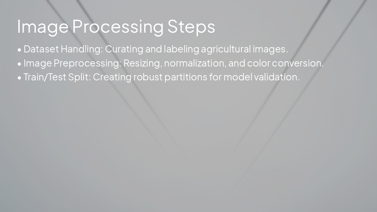 Slide 14 - Image Processing Steps