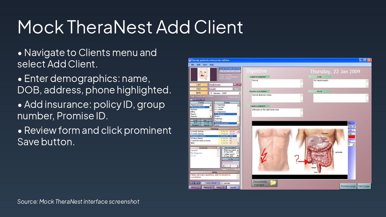 Slide 15 - Mock TheraNest Add Client