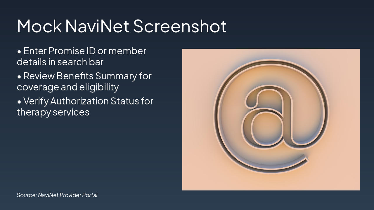 Slide 10 - Mock NaviNet Screenshot