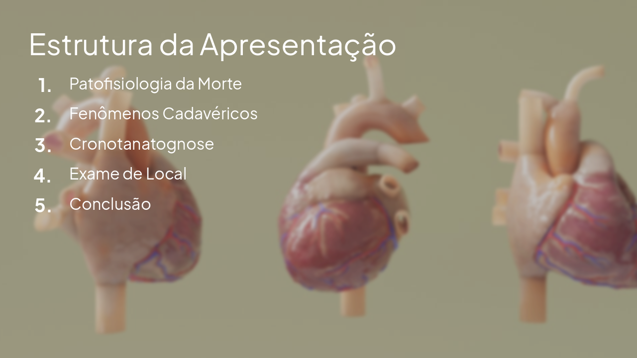 Slide 2 - Estrutura da Apresentação