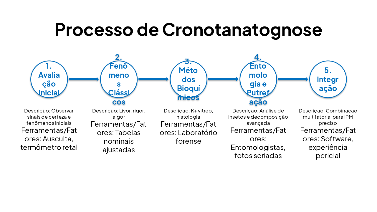 Slide 12 - Processo de Cronotanatognose