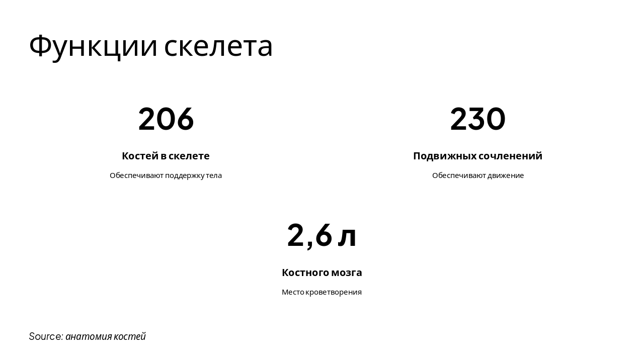Slide 6 - Функции скелета